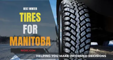 Conquering Manitoba's Winter Roads: Top Tire Picks for Safe and Smooth Driving