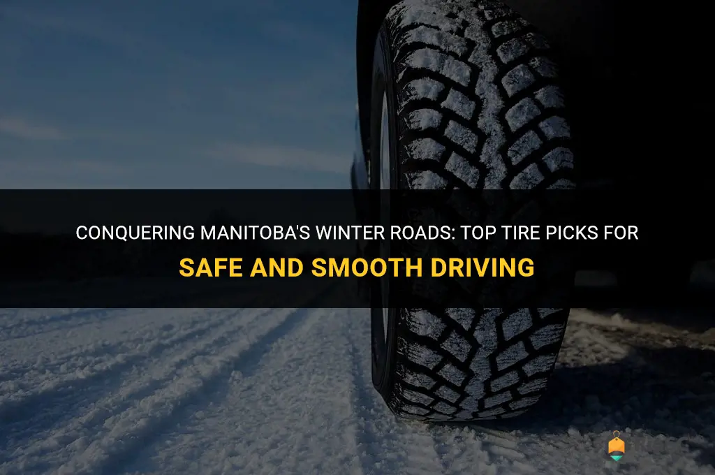 best winter tires for manitoba