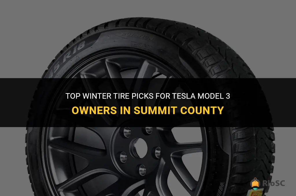 best winter tires for model 3 in summit county