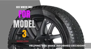 Top Winter Tire Picks for Your Model 3: Stay Safe and Stylish on Snowy Roads
