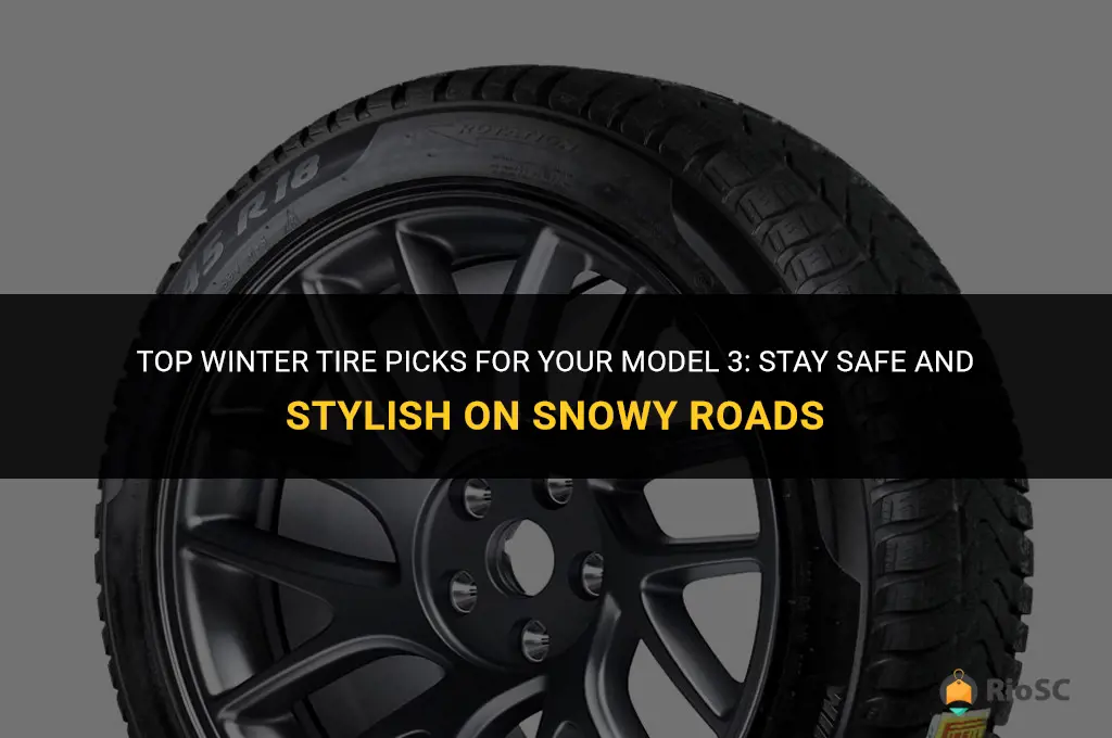best winter tires for model 3