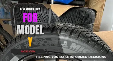 Top Winter Tire Picks for Your Tesla Model Y: Stay Safe and Stylish on Snowy Roads