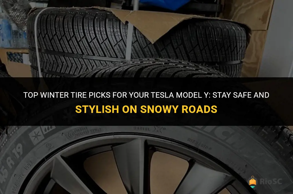best winter tires for model y