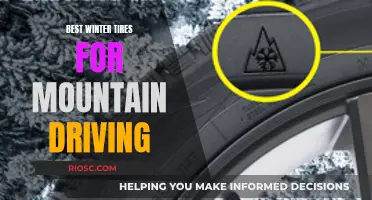 Conquering Snowy Peaks: Top Winter Tires for Mountain Driving