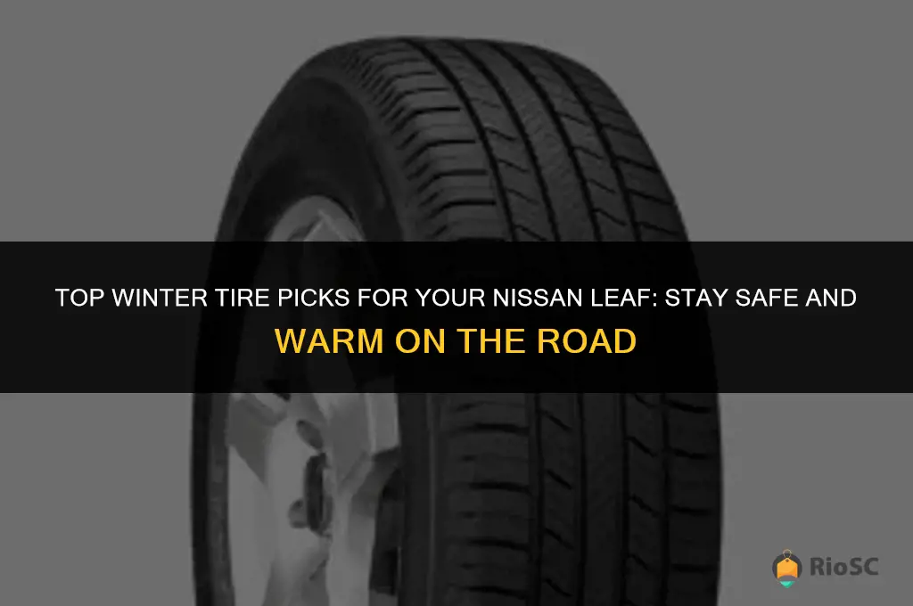 best winter tires for nissan leaf