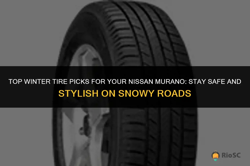 best winter tires for nissan mirano