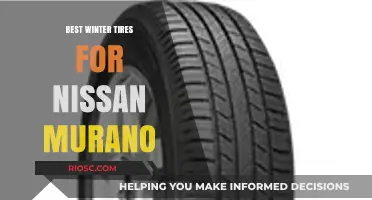 Top Winter Tire Picks for Your Nissan Murano: Stay Safe and Stylish on Snowy Roads