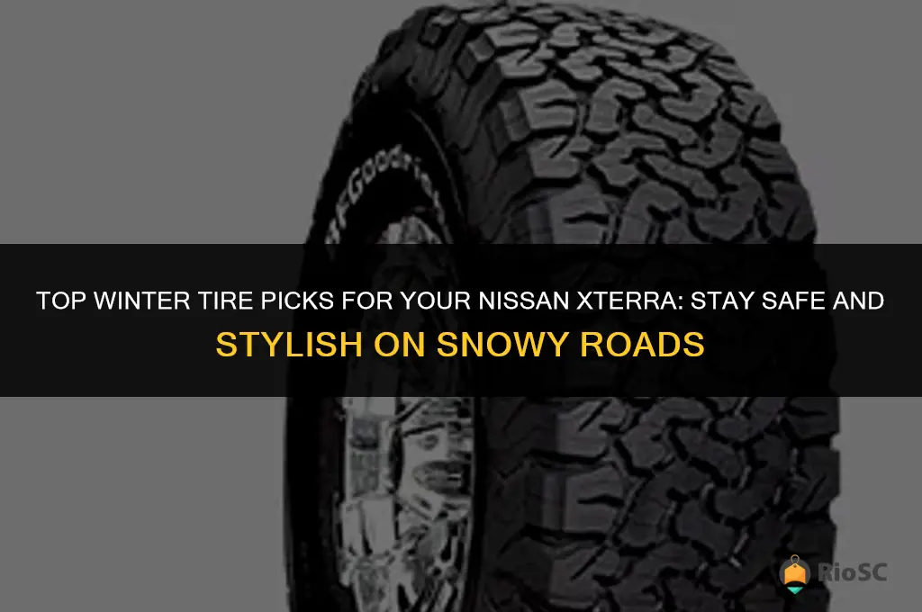 best winter tires for nissan xterra