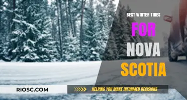 Top Winter Tire Picks for Nova Scotia: Stay Safe on Snowy Roads
