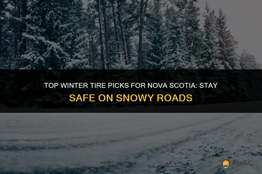 best winter tires for nova scotia