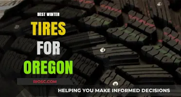 Top Winter Tire Picks for Oregon's Diverse Road Conditions