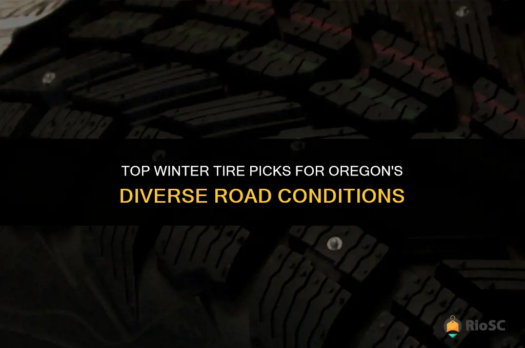 best winter tires for oregon