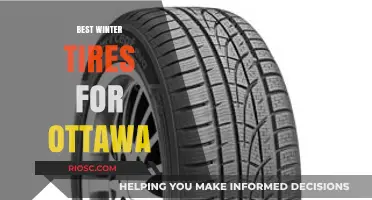 Top Winter Tire Picks for Ottawa: Stay Safe on Snowy Roads