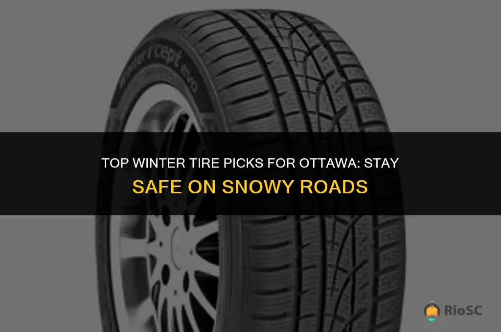 best winter tires for ottawa