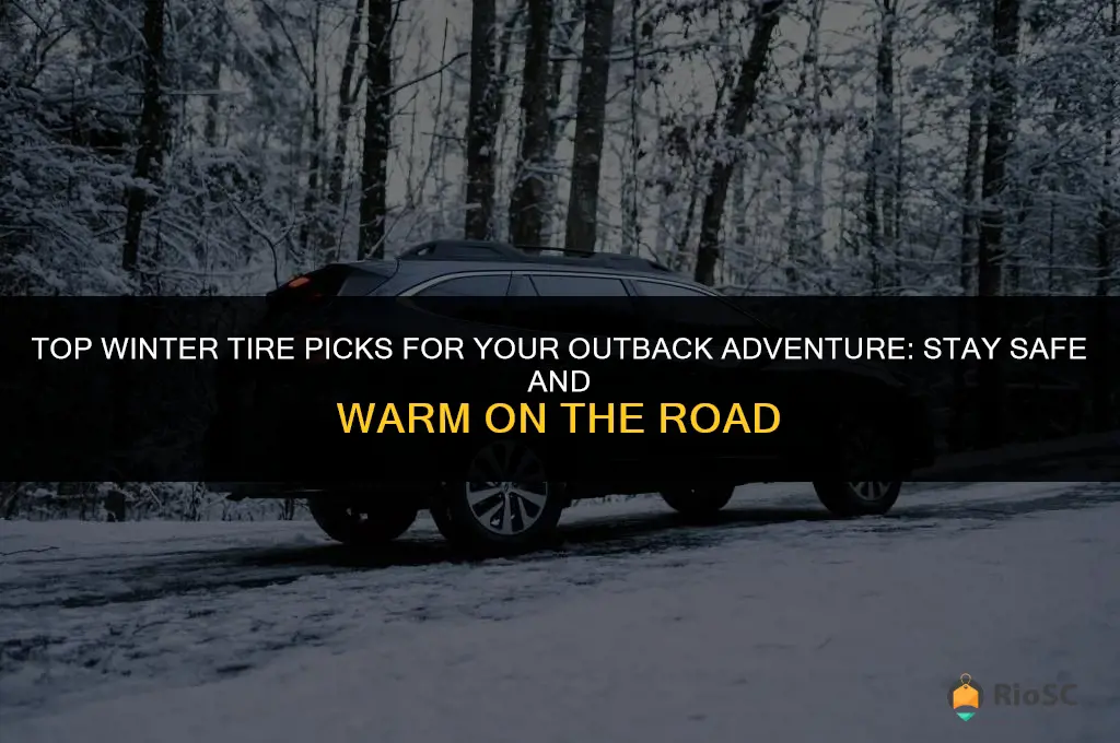 best winter tires for outback