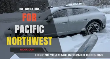 Conquering the Pacific Northwest's Winter Roads: Top Tire Picks for Unmatched Traction and Safety