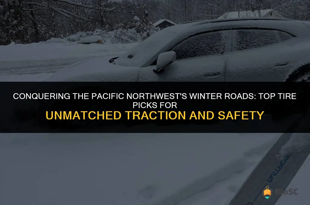 best winter tires for pacific northwest
