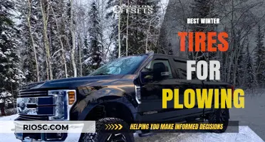 Top Winter Tires for Plowing: Stay Safe and Clear the Way