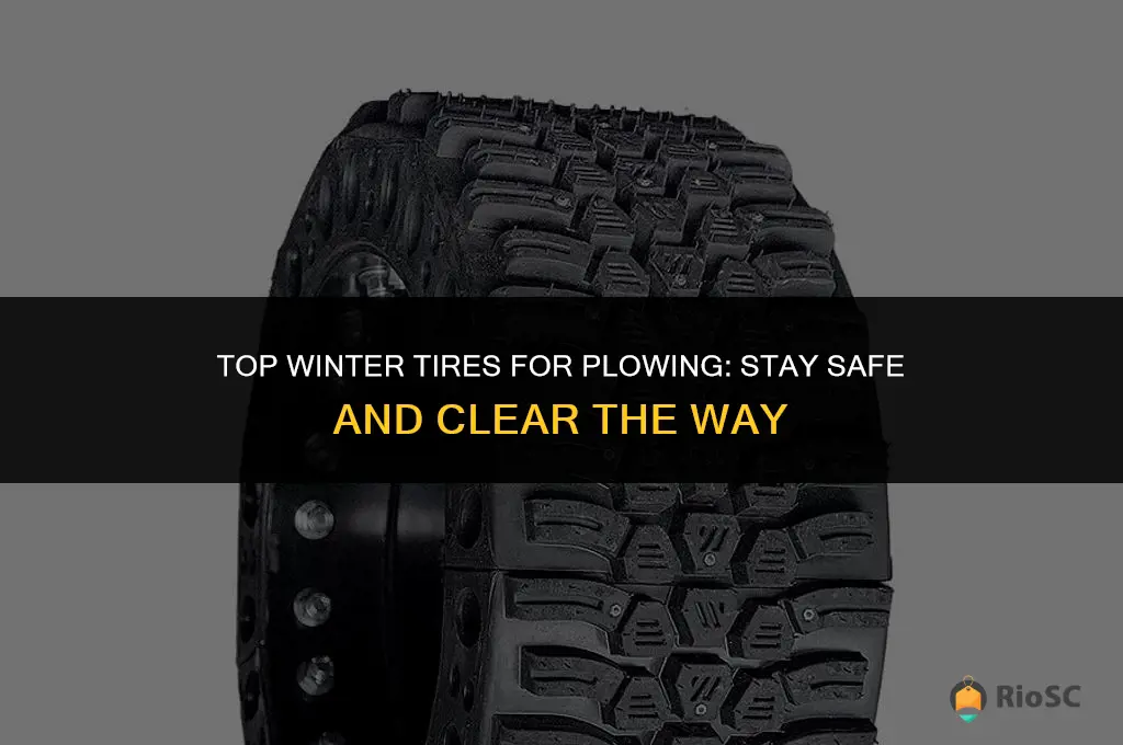 best winter tires for plowing