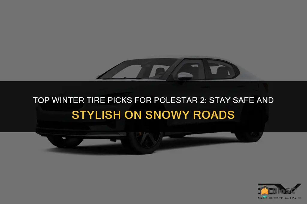 best winter tires for polestar 2