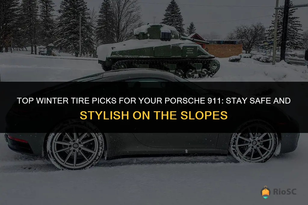 best winter tires for porsche 911