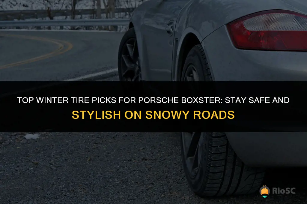best winter tires for porsche boxster