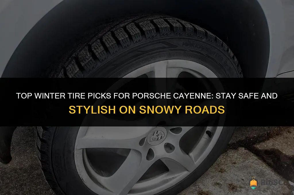 best winter tires for porsche cayenne