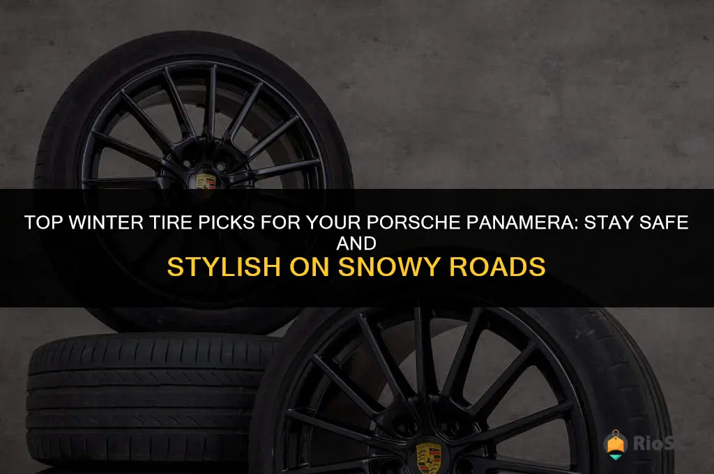 best winter tires for porsche panamera