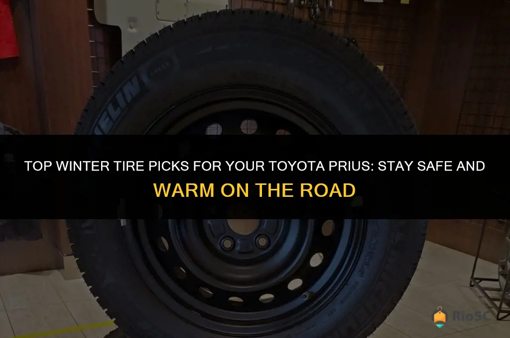 best winter tires for prius