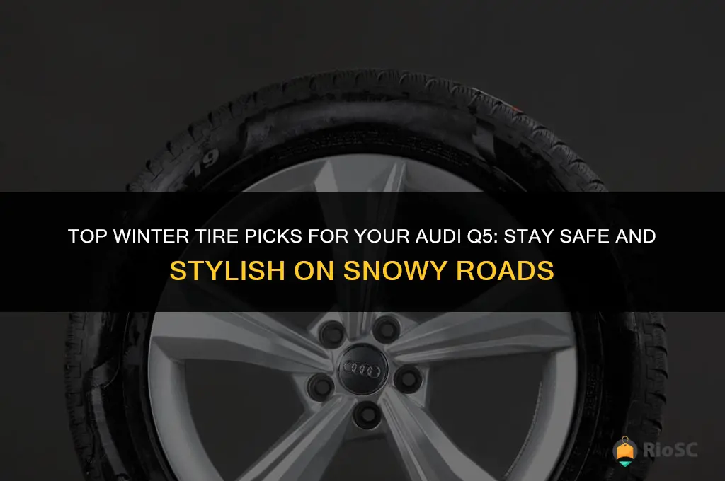 best winter tires for q5