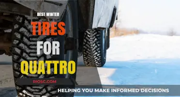 Top Winter Tire Picks for Quattro: Stay Safe and Stylish on Snowy Roads