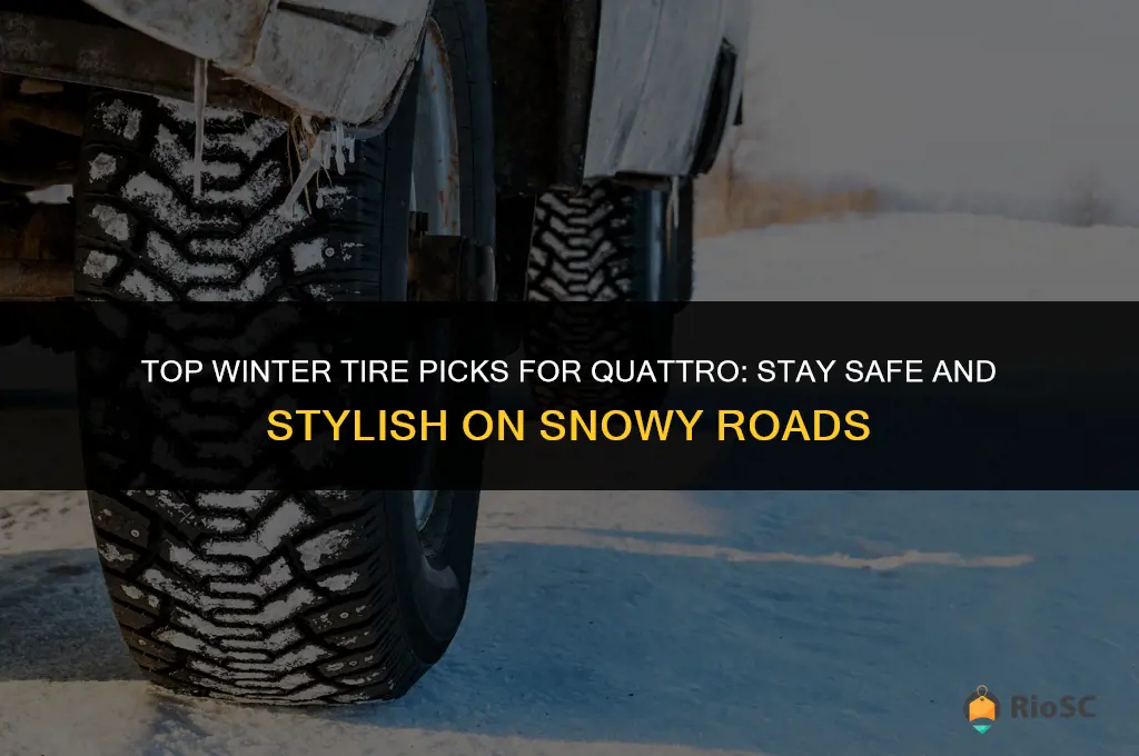 best winter tires for quattro