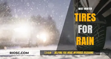 Top Winter Tires for Rainy Conditions: Stay Safe on the Road