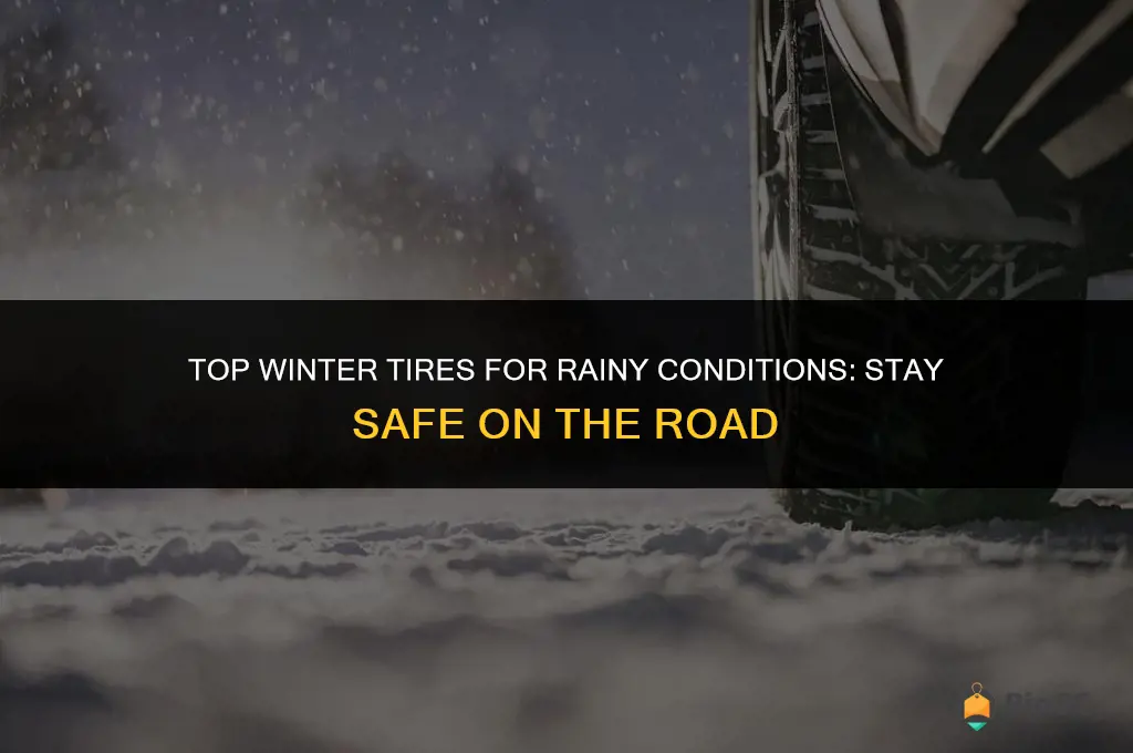 best winter tires for rain