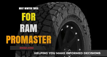 Top Winter Tire Picks for Your Ram ProMaster: Stay Safe and Mobile in Snowy Conditions