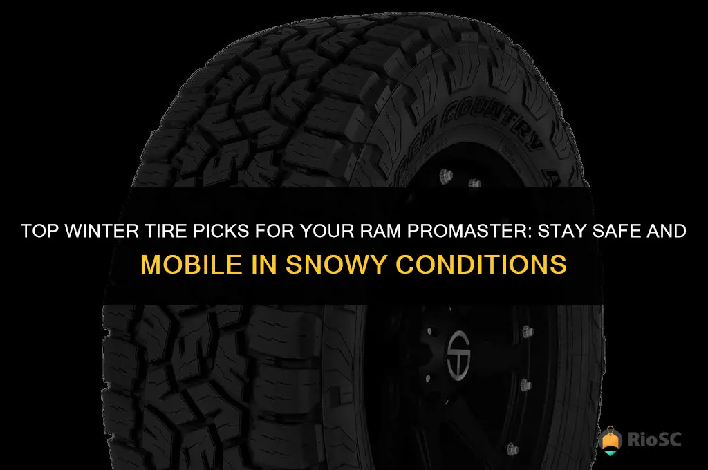 best winter tires for ram promaster