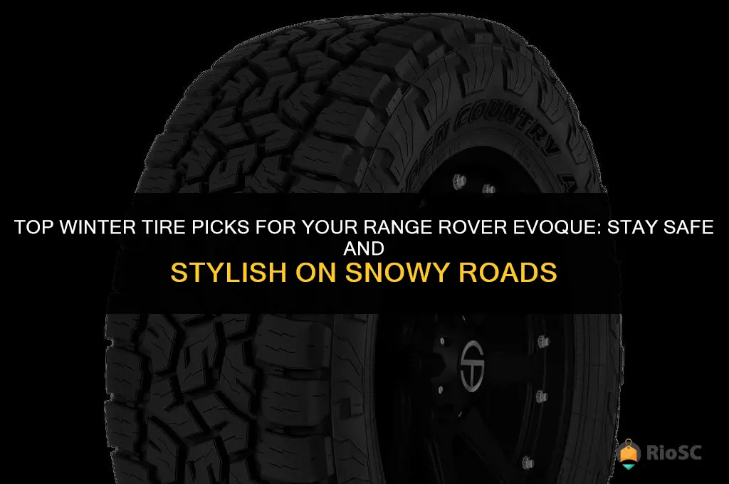 best winter tires for range rover evoque