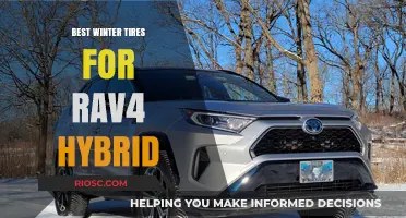 Top Winter Tire Picks for Your RAV4 Hybrid: Stay Safe and Stylish on Snowy Roads