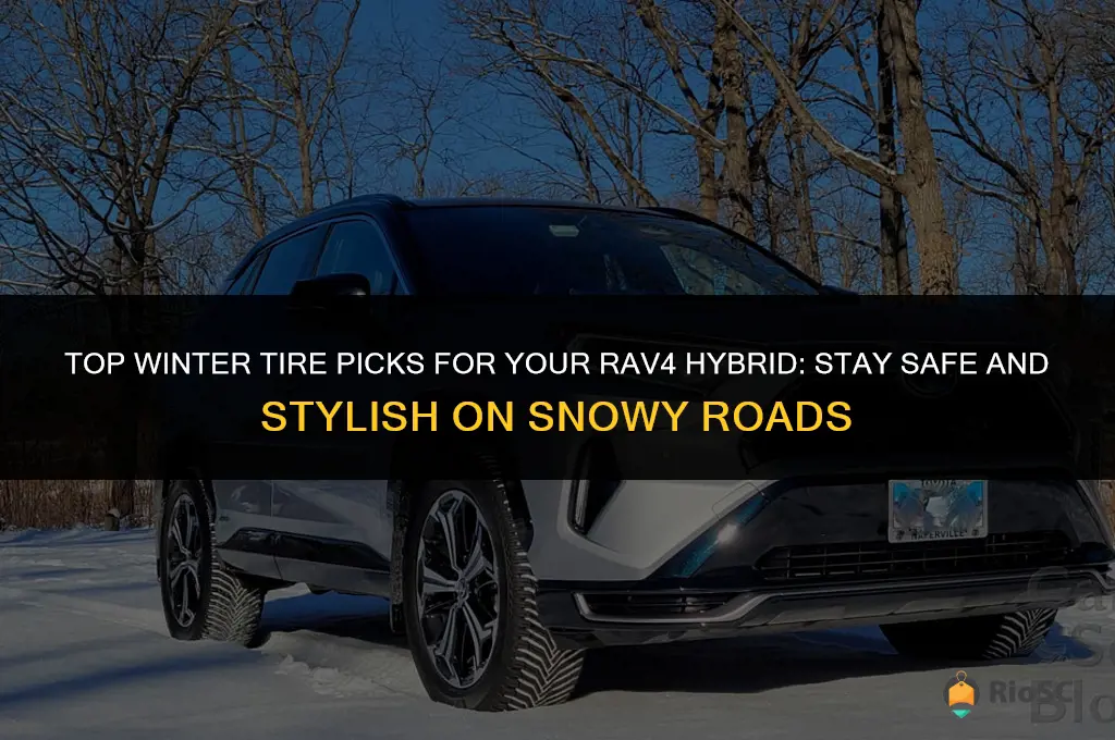 best winter tires for rav4 hybrid