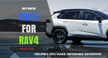 Top Winter Tire Picks for Your RAV4: Stay Safe and Stylish on Snowy Roads