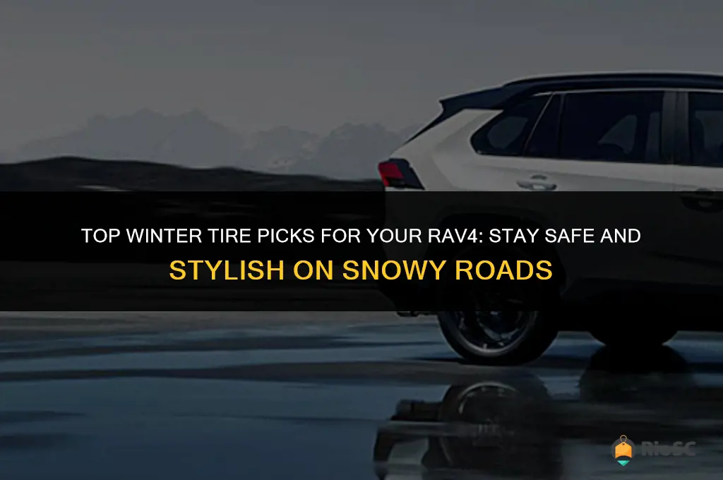 best winter tires for rav4