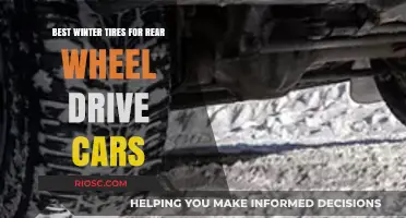 Top Winter Tire Picks for Rear-Wheel Drive Cars: Stay Safe and Stylish on Snowy Roads