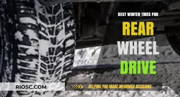 Top Picks for Winter Traction: Best Tires for Rear-Wheel Drive Vehicles