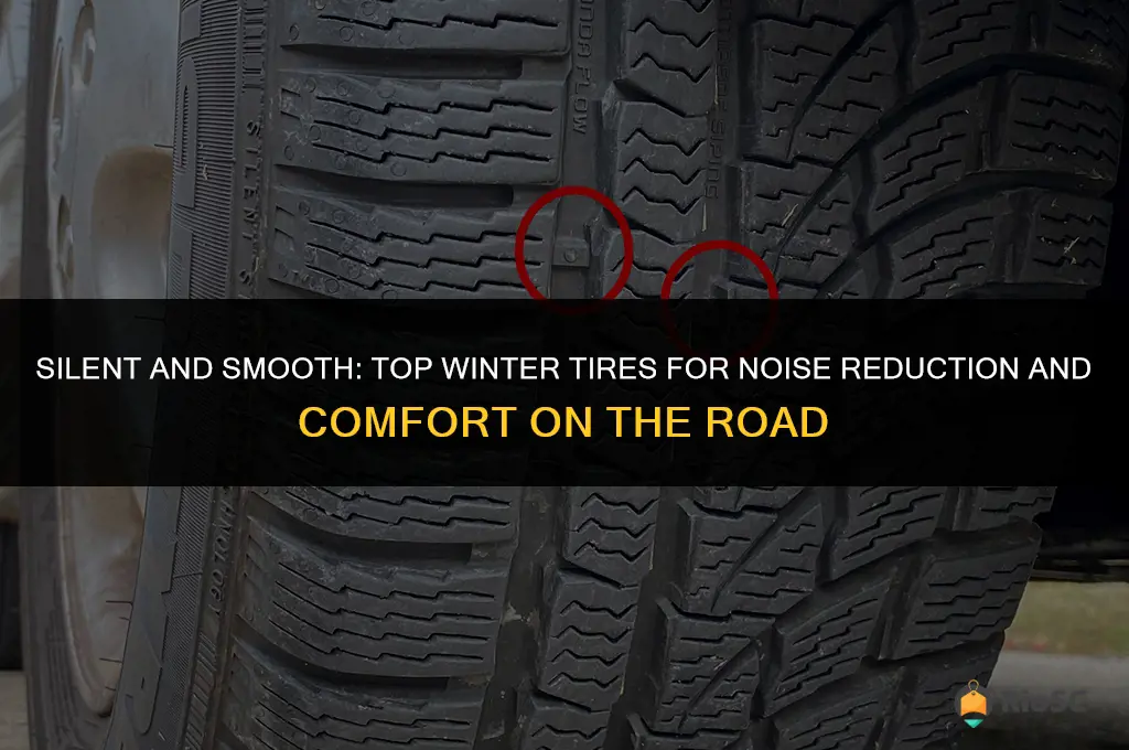 best winter tires for road noise and comfort