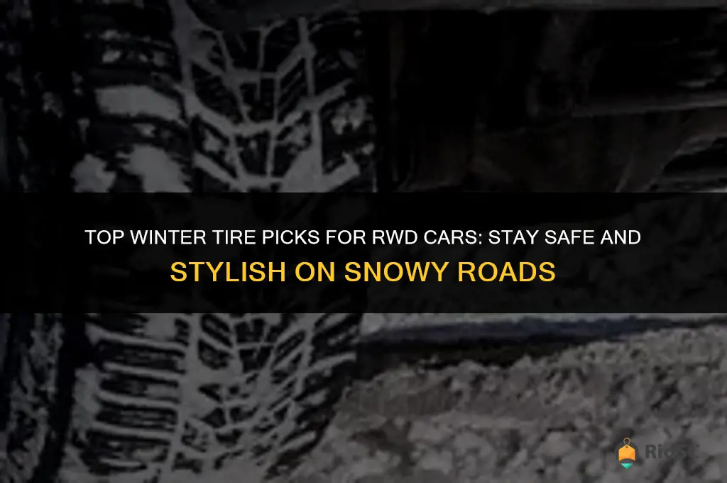 best winter tires for rwd cars