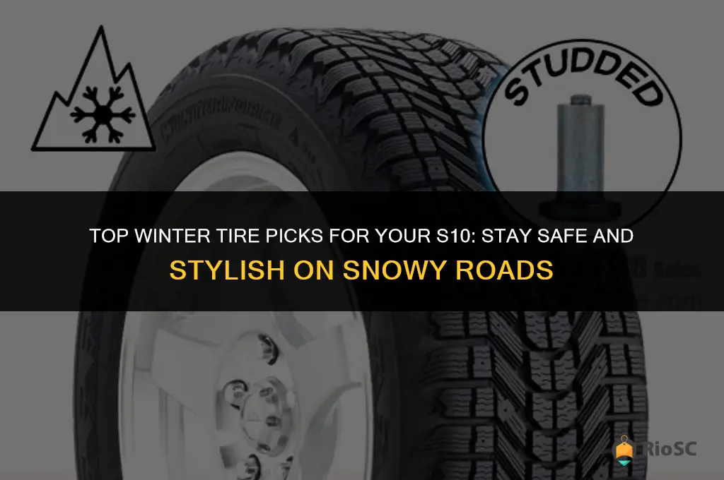 best winter tires for s10