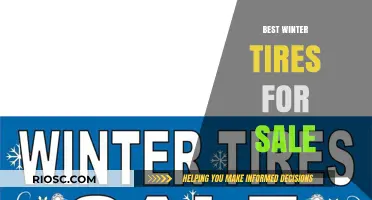 Top Winter Tires for Safe Driving: Our Picks for the Season