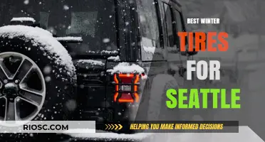 Conquering Seattle's Slippery Streets: Top Winter Tires for the Emerald City