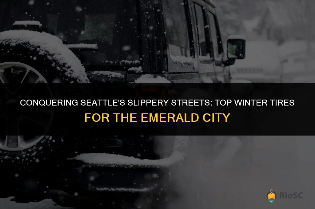 best winter tires for seattle