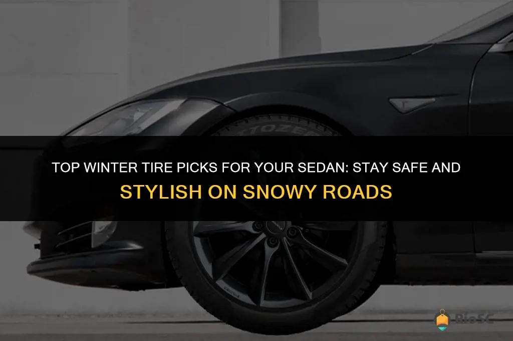 best winter tires for sedan